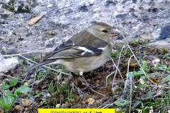 463026708_8574312755969967_8662260958167297206_n