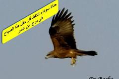 463028729_8580854585315784_8036156295540830670_n