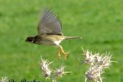 463031384_8578688905532352_604330535784606636_n