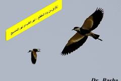 463060735_8585811938153382_5143075477203606098_n