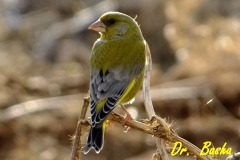 463060786_8570394336361809_3821415478980375652_n