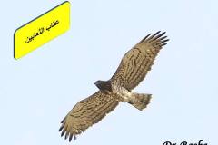 463072376_8584073344993908_8971072237668401240_n