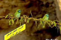 463080696_8583859748348601_1416874775358779315_n