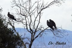 463081622_8571778836223359_8267369812165720516_n