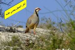 463086593_8580854881982421_2924895256389788714_n