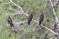 463089316_8574239375977305_6626020135598377232_n