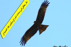 463091676_8581264895274753_3745461759052480219_n