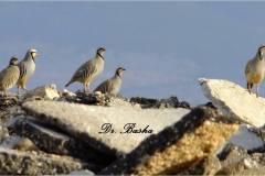 463092435_8569355866465656_6569312027915246242_n