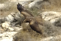 463106557_8569993296401913_5980283568471966704_n