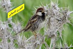 463128145_8580339758700600_6701979921299325400_n