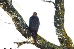 463139911_8578128888921687_798163030727779953_n