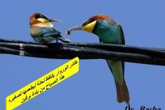 463148401_8586071048127471_4133164153530535518_n