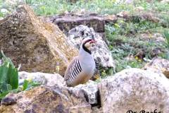 463167101_8580027962065113_5134314272187798724_n