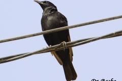 463195454_8579807768753799_5647721524257316546_n