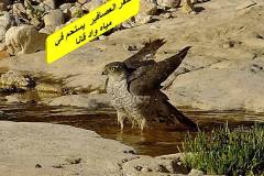 463208357_8585378058196770_1395923779525822783_n