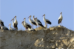 463213937_8580029675398275_5222506361282887076_n