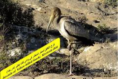 463223776_8585392611528648_3579136510966969480_n