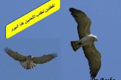 463225802_8581545055246737_206831327069347150_n