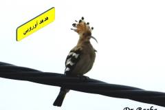 463233446_8580340255367217_6300331605722134470_n