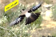 463251752_8587058478028728_1962884699671774822_n