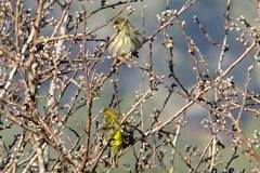 463253527_8574313119303264_3444373303470497906_n