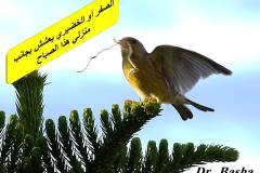 463254023_8587056021362307_7354645772601381972_n