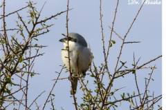 463301878_8573950179339558_2458899435423738231_n