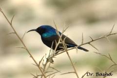 463334859_8579555668779009_2741574637577304824_n