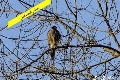 463338006_8575858625815380_2772676924971935643_n