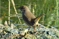 463365703_8579216235479619_5747601912939935929_n