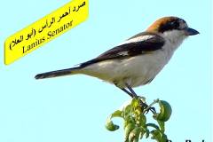 463368162_8589612561106653_3160443868348478481_n