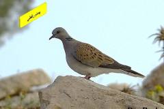 463369063_8589256024475640_461873491178257425_n