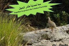 463372994_8590389567695619_409703699853777564_n