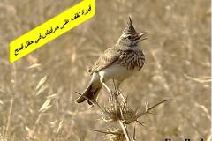 463383730_8589618167772759_6696179414039518252_n