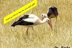 463384400_8587058484695394_5527638086584737868_n