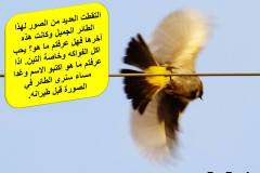 463400516_8586049691462940_8304682382639186776_n