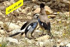 463404505_8587058468028729_3014237237276038095_n