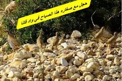 463405963_8590000547734521_3996528976984370746_n