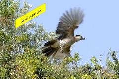 463406416_8589256021142307_6955545047548111630_n