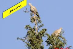 463409786_8580854891982420_8086381346735104215_n