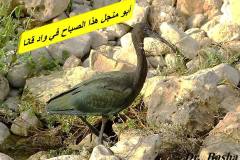 463412822_8590000537734522_991200836588977130_n