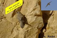 463425187_8585682591499650_7539881458468916759_n