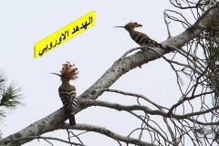 463430846_8590002707734305_7313027091185861706_n