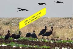 463443182_8585811954820047_1540567293121372012_n