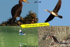 463445213_8591083040959605_3651734559687217392_n