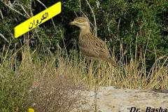 463446049_8590229221044987_5055349902480142470_n