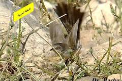 463453298_8590872490980660_9003448142966833705_n