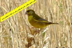 463458562_8589255997808976_6689272216529124827_n