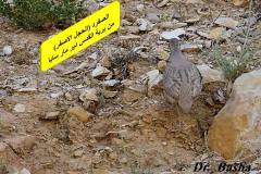 463461775_8585682581499651_139678587380224830_n