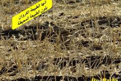 463472568_8590872480980661_4632631992562798780_n